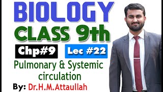 Pulmonary and systemic circulation  Chapter 9  9th class Biology  Lec 22 [upl. by Htiffirg975]