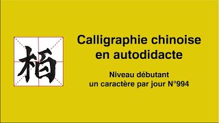 Calligraphie chinoise un caractère par jour n°994 柏 cyprès [upl. by Garbers]