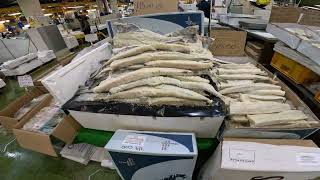 Come with me to billingsgate fish market london [upl. by Rockwood]