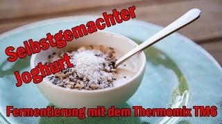 Joghurt selbstgemacht mit dem Thermomix TM6  Fermentierung [upl. by Shaughn]