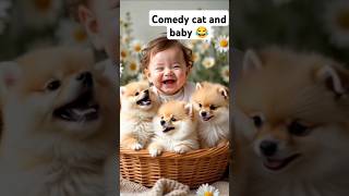 Comedy cat and baby 😍😍 short barrelsuscrib funny short video [upl. by Tnairb34]