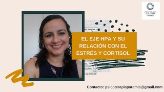 NEUROFISIOLOGÍA EJE HPA Y COMO SE RELACIONA CON EL ESTRÉS [upl. by Dewees]