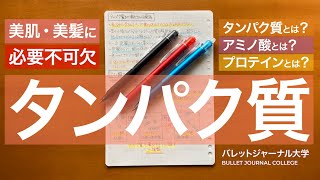 タンパク質基礎入門【美容に必要不可欠なアミノ酸】 [upl. by Adyela]