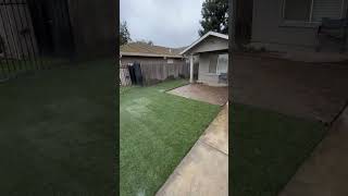 Fresh sod install [upl. by Jew]