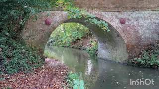 Basingstoke Canal reels sarvajitnm trending song youtube trending feed feedshorts walking [upl. by Oram]