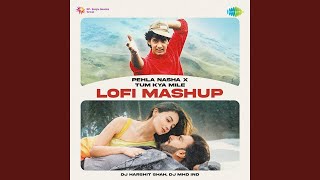 Pehla Nasha x Tum Kya Mile  LoFi Mashup [upl. by Iror437]