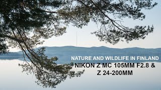 Nikon Z MC 105mm f28 VR  Z 24200mm  Z6II  Nature and Wildlife in Finland [upl. by Anauj]