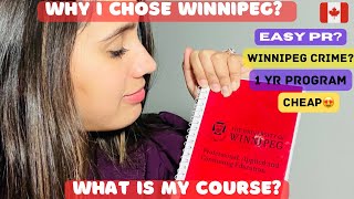 Why students should choose Winnipeg❤️SAFE PR JOBS [upl. by Alohs222]