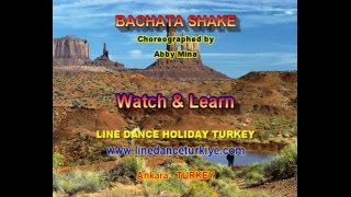 Bachata Shake Watch amp Learn [upl. by Tzong]