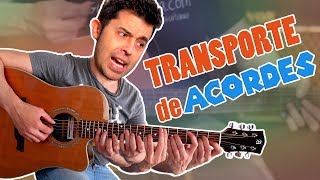 Cómo transportar acordes  Aprende a cambiar de tonalidad y tocar canciones sin capo [upl. by Kilmarx]