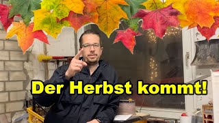 Der Herbst und die Werkstatt kommen  tobiebel Deichwerkstatt  Werkstatt Update [upl. by Llertnor]