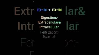 Phylum ctenophora characteristics trickDr loading neet2025 tricks trendingshorts shorts [upl. by Wearing278]