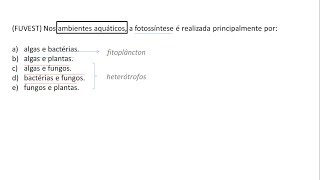 BIOLOGIA  FUVEST Exercício Resolvido 002 [upl. by Nairdna352]