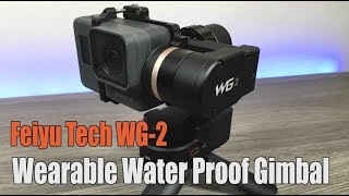 Feiyu Tech WG2 Water Proof Gimbal Review [upl. by Platto987]