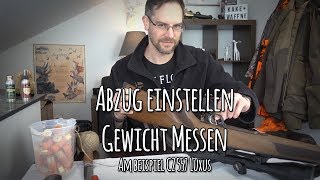 Abzug an Büchse einstellen und messen – Let’s Shoot 158 [upl. by Ahsiemal]