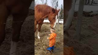 This horse loves his human baby shorts [upl. by Leisha]