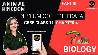 COELENTERATA CTENOPHORA amp PLATYHELMINTHES  Animal Kingdom  Class 11 Biology Chapter 4  Part 3 [upl. by Randolph]