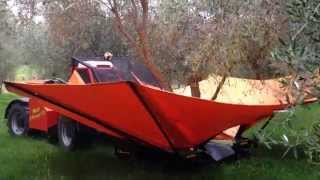 Olive Harvesting with a Tree Shaker  Jared Gulian [upl. by Schwinn]