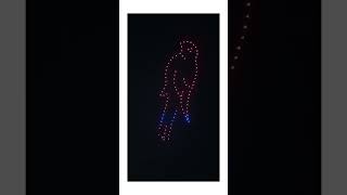 drone show in Hardoi shortvideo [upl. by Adnarem]