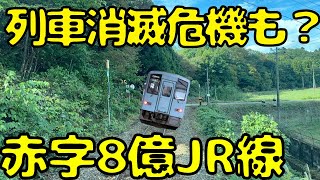 【存続危機なの？】コロナ禍減便で本数が0本日になりかけたJR西日本の飛び地路線を利用すると [upl. by Thackeray739]