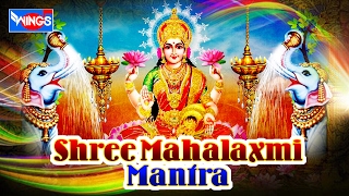 OM MAHA LAKSHMYAI NAMAH  LAXMI MANTRA FOR HEALTH amp WEALTH  MANTRA FOR MONEY [upl. by Vallo925]