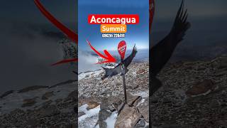 Así llegamos a la Cumbre de Aconcagua 2023 6962m 22841ft aconcagua argentina andes 7summits [upl. by Stieglitz]