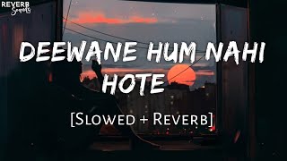 Deewane Hum Nahi Hote Slowed  Reverb  Aditya Yadav  Reverb Sounds  TextAudio Lyrics [upl. by Nodroj388]