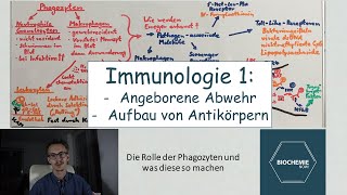 WIE BEGINNT DIE IMMUNANTWORT amp AUFBAU ANTIGENEANTIKÖRPER  BiochemieNow Immunologische Reihe 1 [upl. by Ruhl]