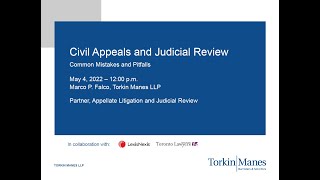 Civil Appeals and Judicial Reviews Common Mistakes and Pitfalls [upl. by Berk]