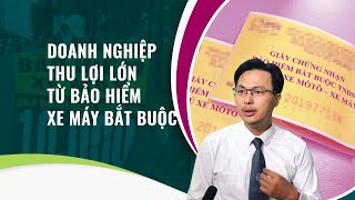 Luật sư Đặng Văn Cường Nhiều người mua bảo hiểm xe máy chỉ để đối phó với cảnh sát giao thông [upl. by Barrow]