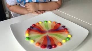 Kids science experiment with Skittles [upl. by Airemat788]