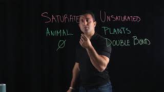 Saturated vs Unsaturated Fatty Acids [upl. by Castara]