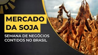 Soja em Chicago Impacto Climático e Perspectivas para Safra NorteAmericana [upl. by Adlar27]