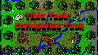 TIBIA TASKS Carniphilas Task  TIBIA EN ESPAÑOL  Killing the name of [upl. by Tedie181]