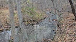 Beaver Creek culvert where it would have flowed out into the former Copco Lake below  Nov 24 2024 [upl. by Ecyrb23]