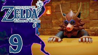 SACRARIO GERUDO  The Legend Of Zelda Echoes Of Wisdom ITA  Episodio 9 [upl. by Ayrb40]