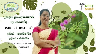 Morphology of Flowering plants  Part 15  Family  Leguminaceae  Fabaceae  NEET Biology  NEET [upl. by Aisekal]