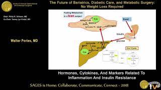 Hormones cytokines amp markers related to inflammation and insulin resistance [upl. by Phipps]