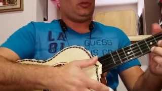 El Carretero Mariachi VargasVihuela Tutorial [upl. by Ultun]