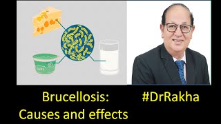 Brucellosis Causes and effects DrRakha [upl. by Aehr566]