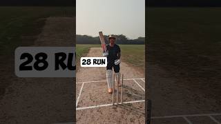 Will I be able to chase 28 runs  shorts cricket runchase [upl. by Ssyla]