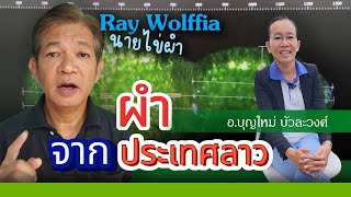 นำผำจากประเทศลาวมาวิจัย Ray Wolffia ฟาร์มผำเกษตรอินทรีย์ [upl. by Viv35]