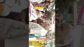 KMRD Jain College malerkotla diwalicelebration diwalispecial diwali [upl. by Attesoj]