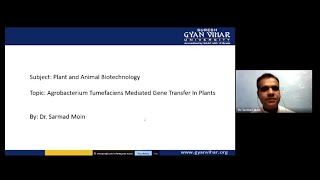 Agrobacterium mediated gene transfer [upl. by Cissej926]