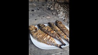 Griled fish food video [upl. by Nomla444]