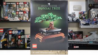 LEGO 10281 BONSAI TREE Review 2021 [upl. by Sugna570]