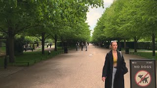 Exploring Londons Royal Regents Park  4K Walking Tour [upl. by Aneen807]