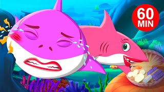 Baby Shark Got A Boo Boo  More Baby Shark Songs  FunForKidsTV Nursery Rhymes [upl. by Gowon]