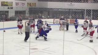 Fight at the Watertown Wolves  Port Huron Prowlers game [upl. by Lrigybab257]