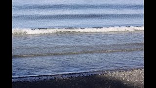 Qualicum Beach Park [upl. by Yarezed600]